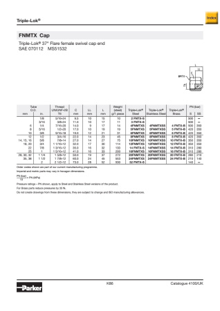 FNMTX описание