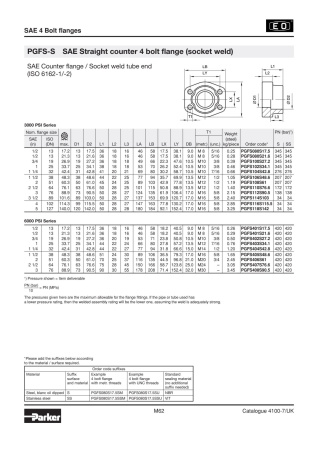 PGFS-S описание